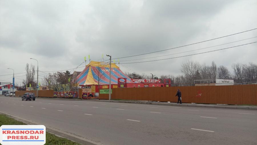 В Краснодаре Пройдут Шоу Цирка Полины Запашной