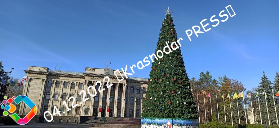 В Краснодаре На Главной Площади Начали Устанавливать Новогоднюю Ёлку. В Сочи Её Уже Нарядили